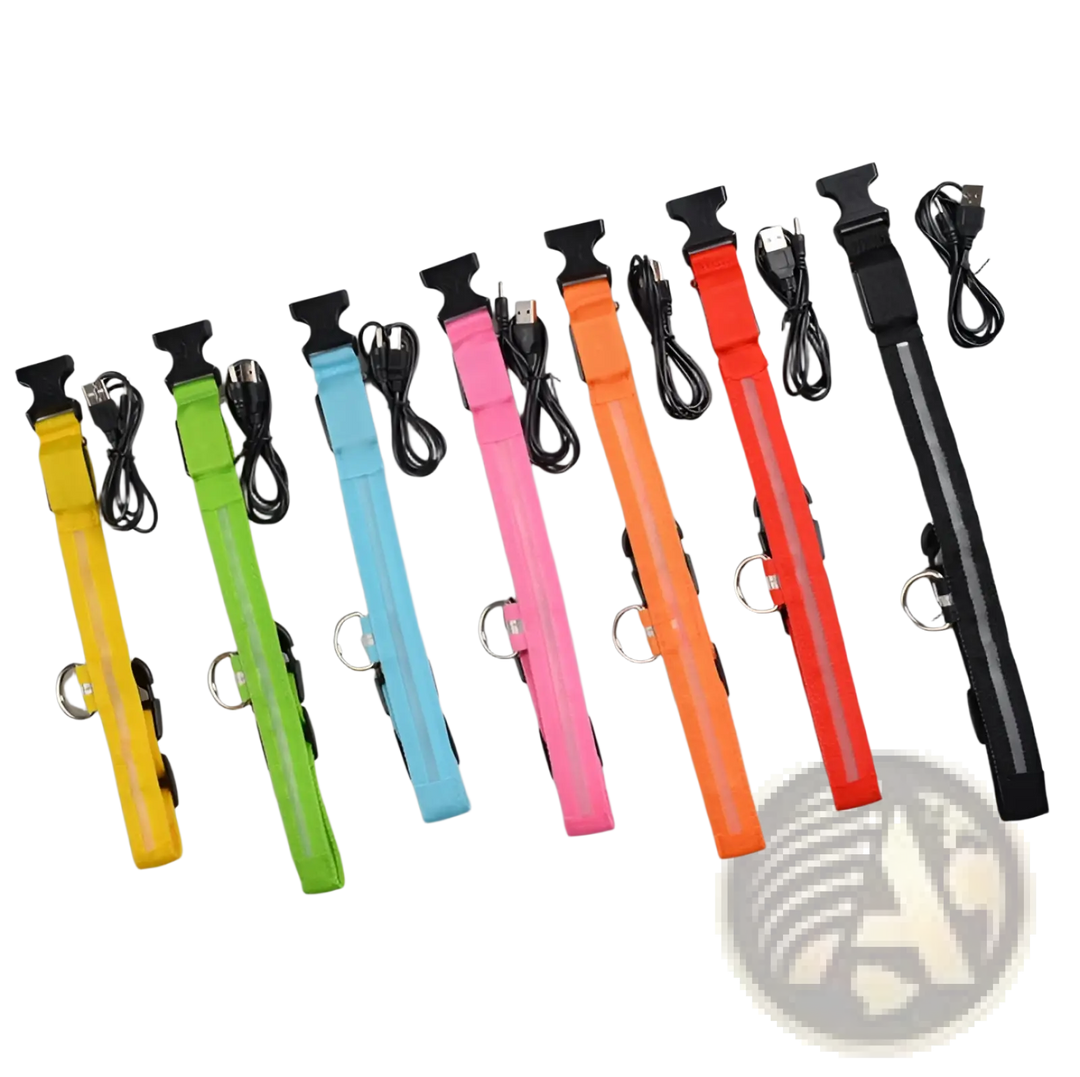 Assorted LED dog collars with metal D-rings in yellow, green, light blue, pink, orange, and red