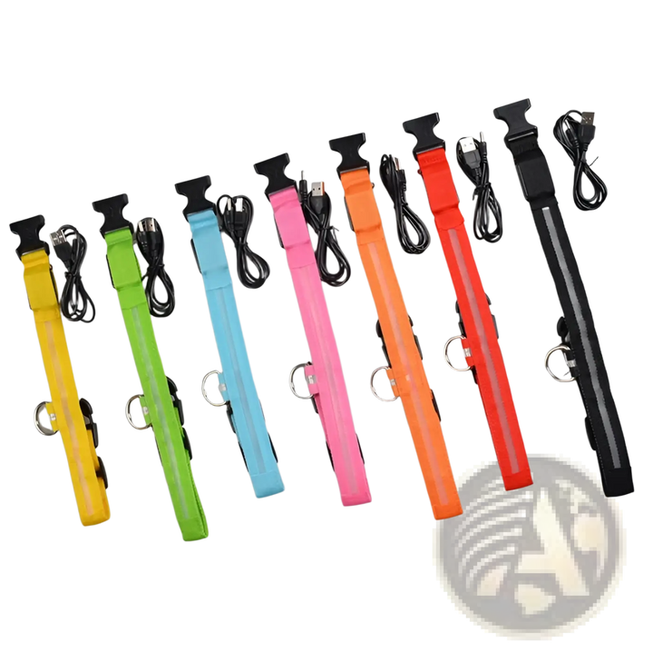 Assorted LED dog collars with metal D-rings in yellow, green, light blue, pink, orange, and red