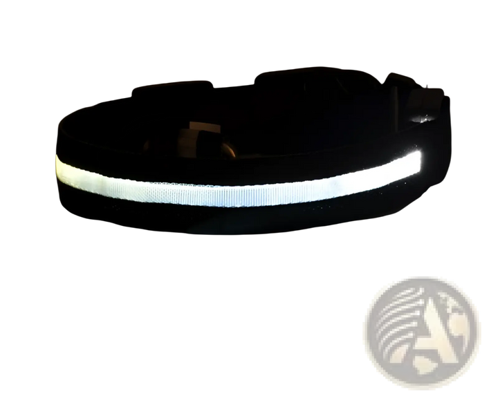 Black LED dog collar with bright white light strip and plastic buckle