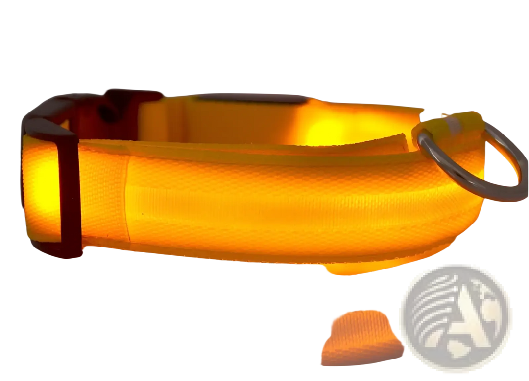 Orange LED dog collar with glowing light strip and metal D-ring