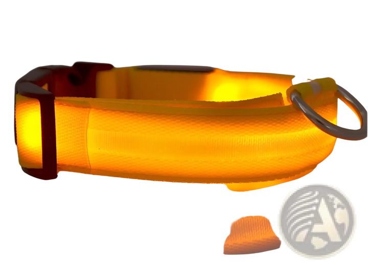 Orange LED dog collar with glowing light strip and metal D-ring