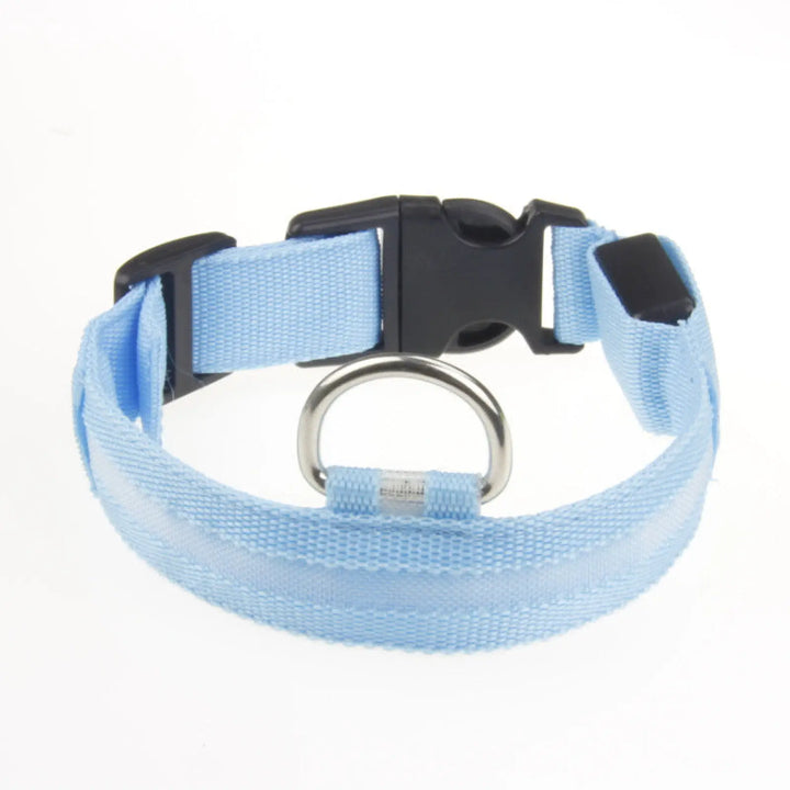 Blue LED dog collar with metal D-ring and black side buckle