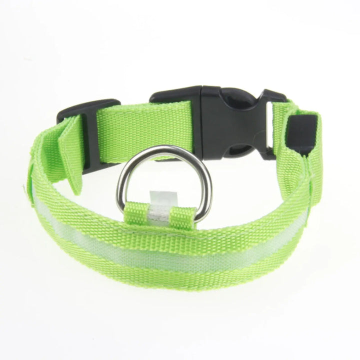 Green LED dog collar with metal D-ring and black adjustable side buckle
