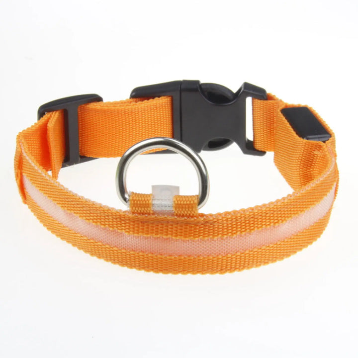 Glowing LED dog collar with orange light and metal D-ring on a black strap