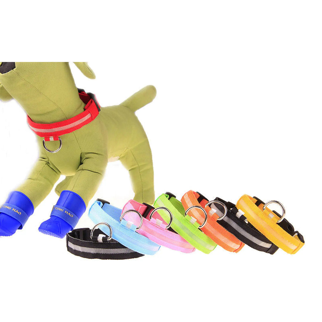 LED dog collars in assorted colors with metal D-rings