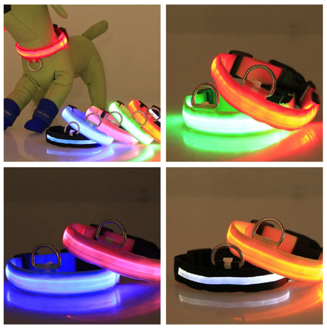 Glowing LED dog collars in mixed colors, each featuring a metal D-ring