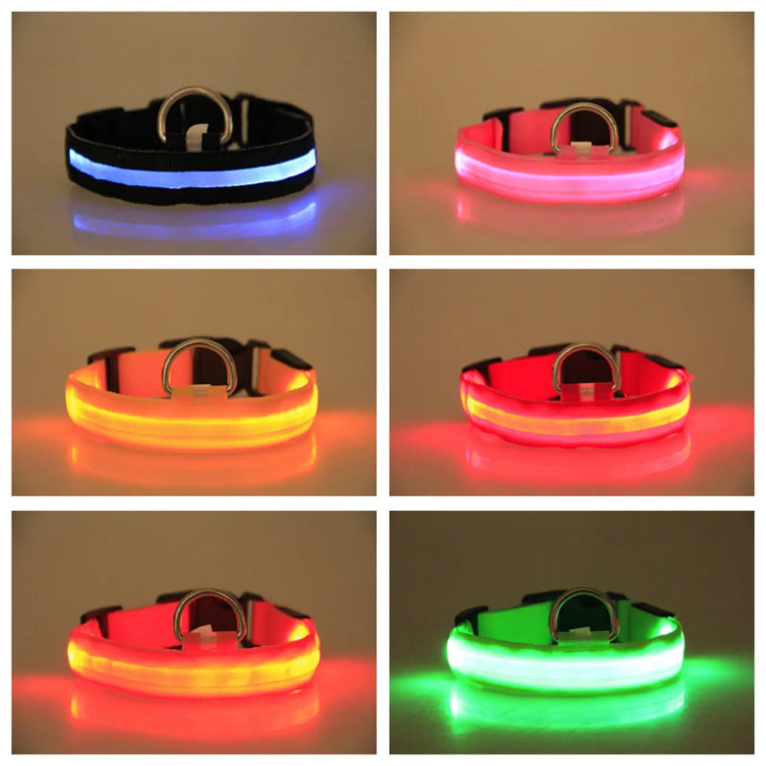 Glowing LED dog collars in multiple colors, each with metal D-ring