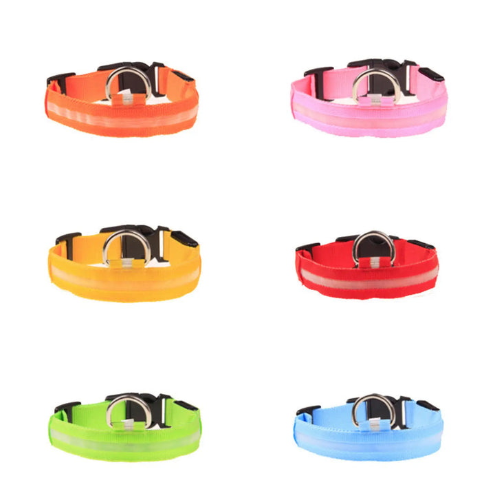Assorted color LED dog collars with metal D-rings on black buckles