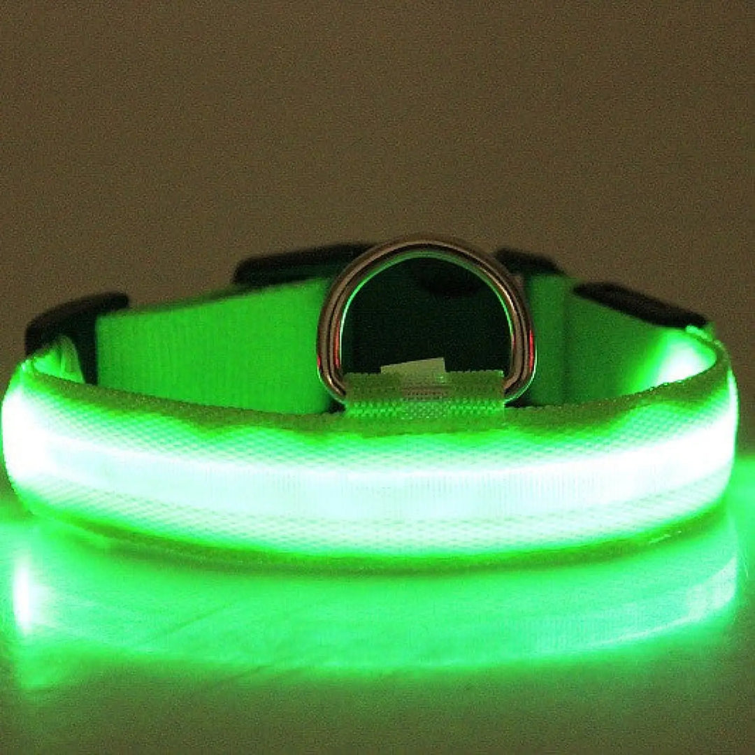Glowing LED dog collar with green light and metal D-ring on a black strap