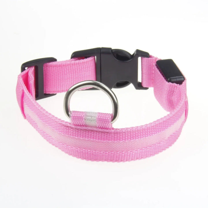 Pink LED dog collar with rechargeable safety light, black buckle, round D-ring