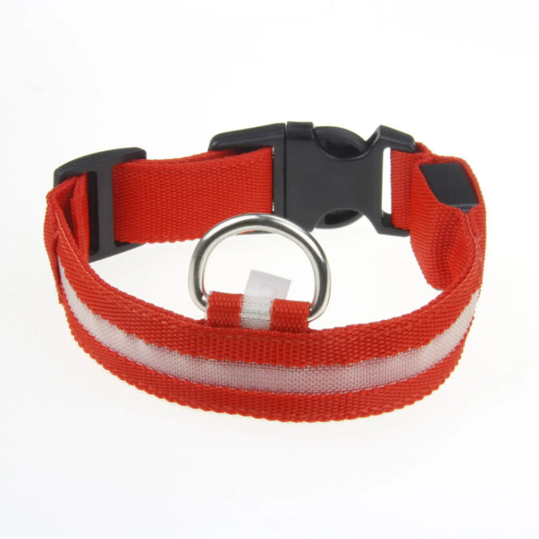 Orange-red LED dog collar with metal D-ring and black buckle clip