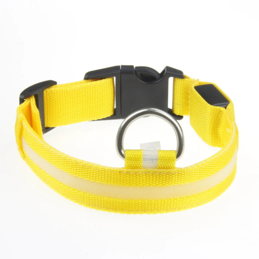 Yellow LED dog collar with rechargeable safety light, black buckle, round D-ring