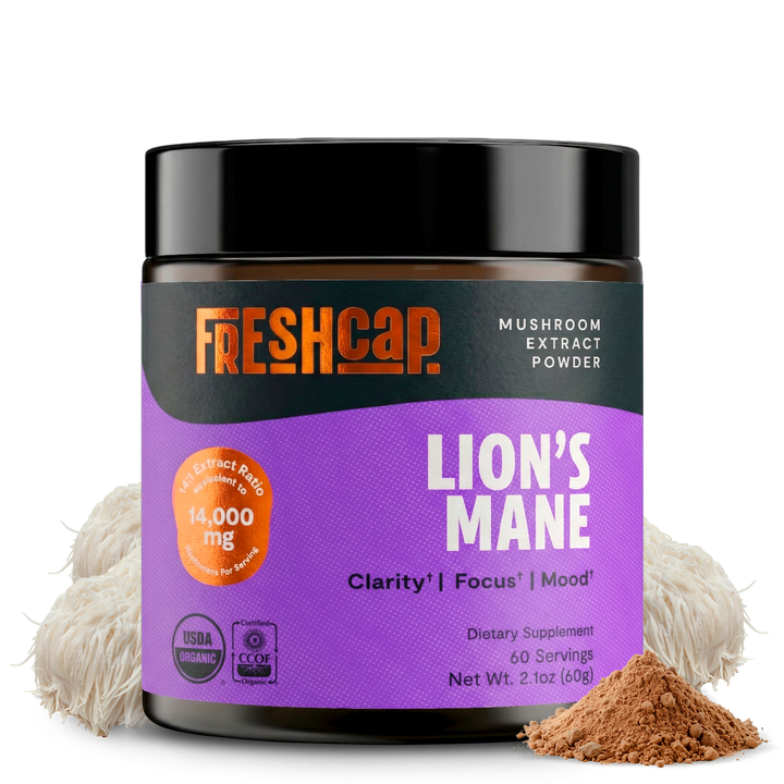 Front view lion&