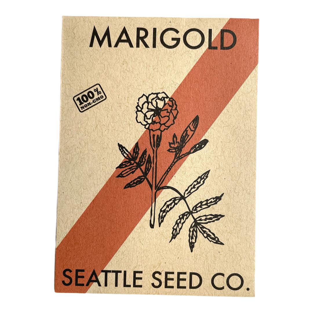 Marigold seed packet with printed “MARIGOLD” and “SEATTLE SEED CO.”