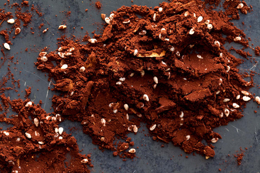 Mayan cocoa spice blend powder with small white cocoa nibs