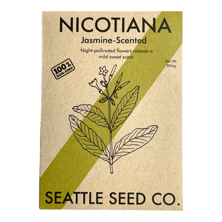 Nicotiana jasmine-scented seed packet, brown kraft pouch with green label