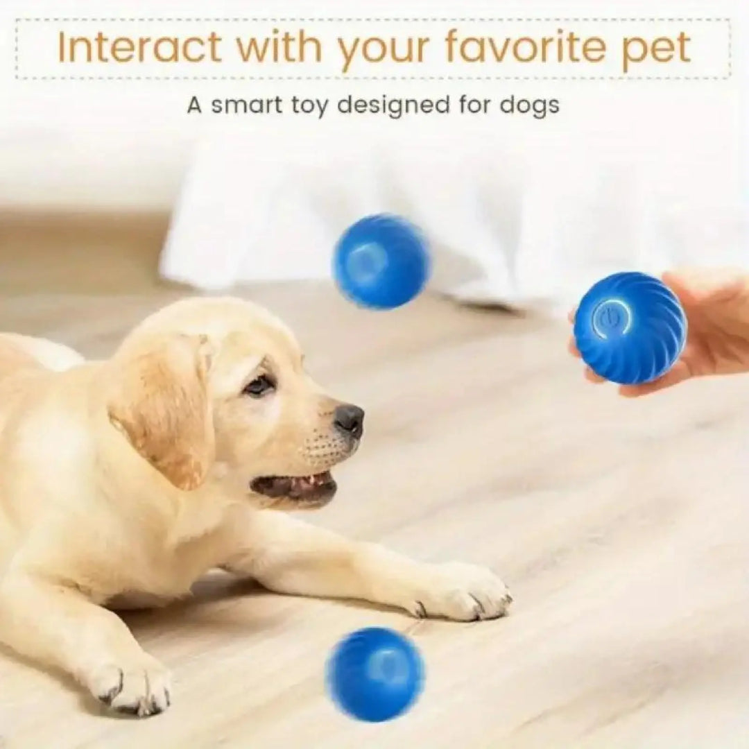 Blue bouncing jump ball for dogs, shown on a couch with other balls