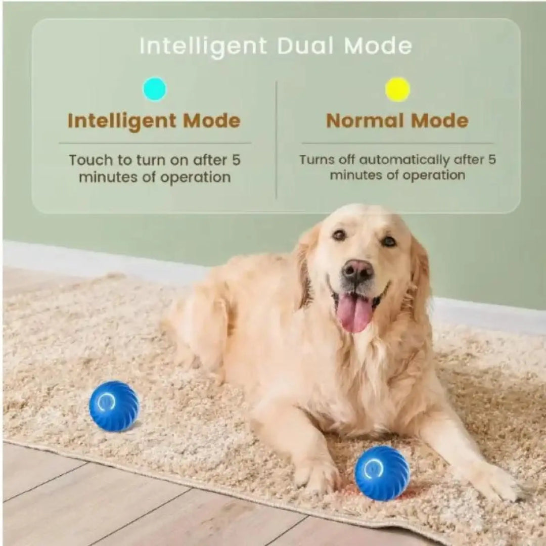 Blue bouncing jump ball toy on carpet beside a golden retriever