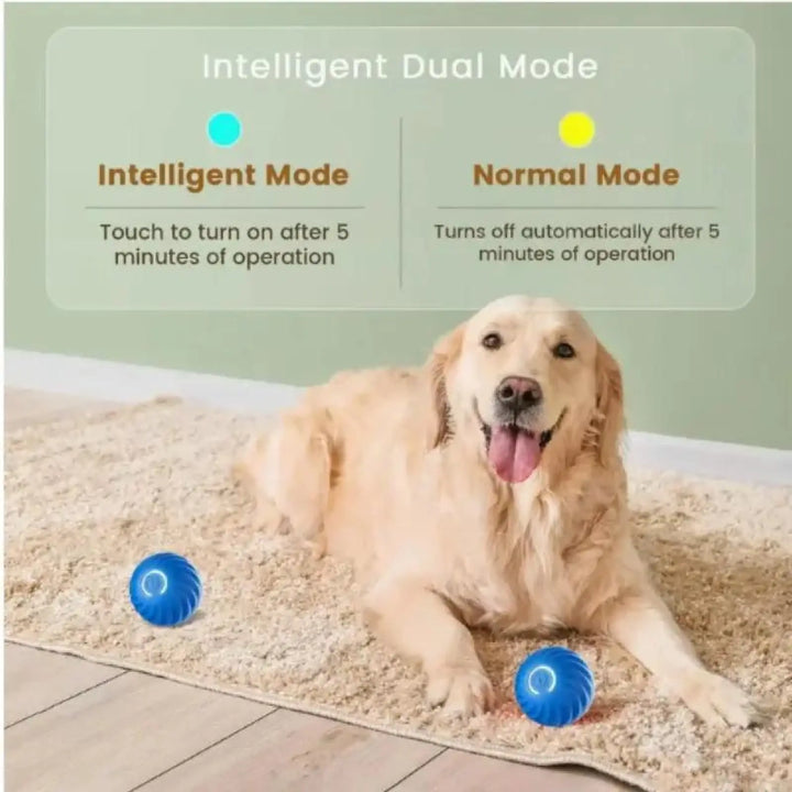 Blue bouncing jump ball toy on carpet beside a golden retriever