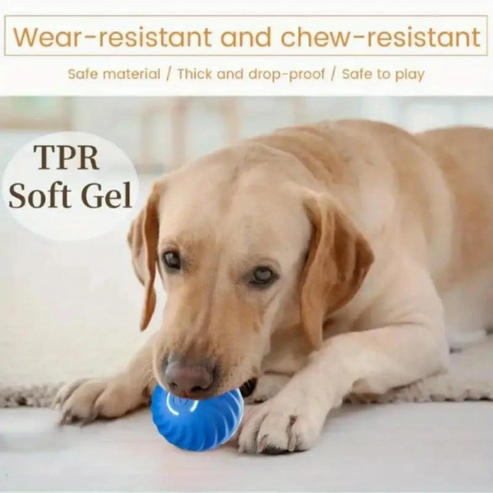 Blue bouncing jump ball toy for dogs with ridged texture near puppy