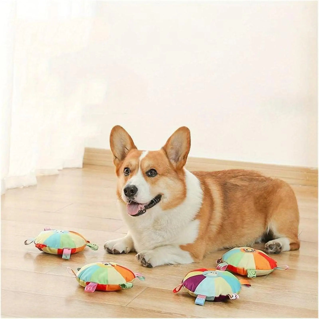 Set of plush flying disc chew toys on the floor with multicolor wheels and fabric tags