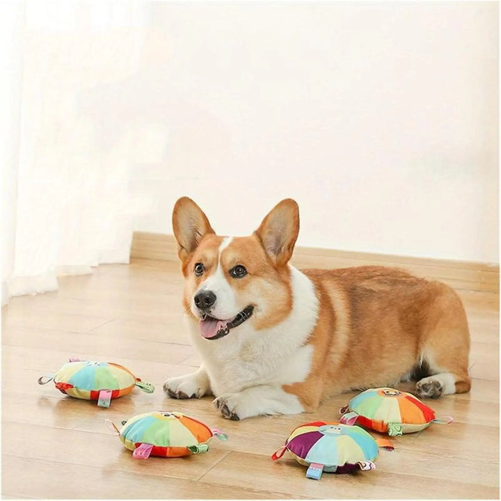 Set of plush flying disc chew toys on the floor with multicolor wheels and fabric tags