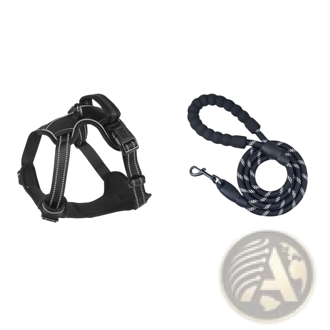 Black no-pull reflective dog harness vest with leash and circular reflective marker