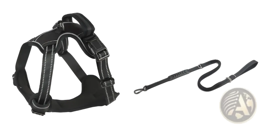 Black reflective dog harness vest with matching leash, plus round reflective emblem