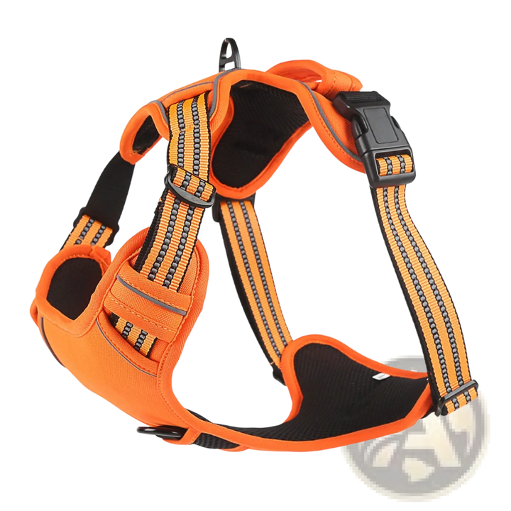 Orange reflective dog harness vest with padded chest and matching leash set