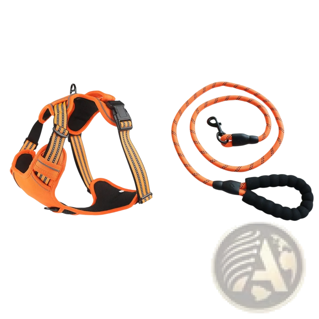Orange no-pull reflective dog harness vest with matching leash set and reflective emblem
