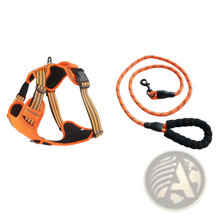 Orange no-pull reflective dog harness vest with matching leash set and reflective emblem