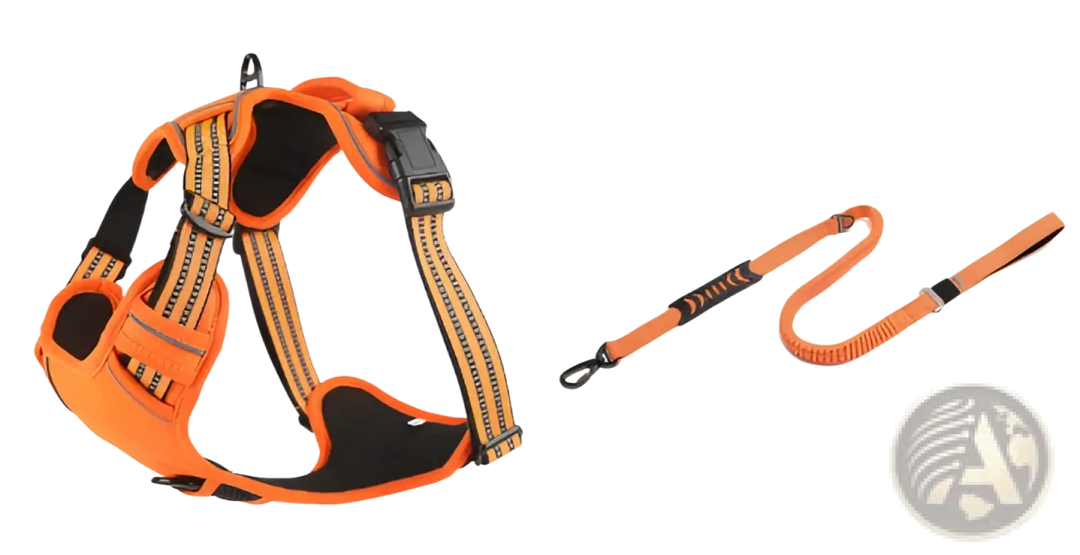 Orange no-pull reflective dog harness vest with matching leash and round reflective badge
