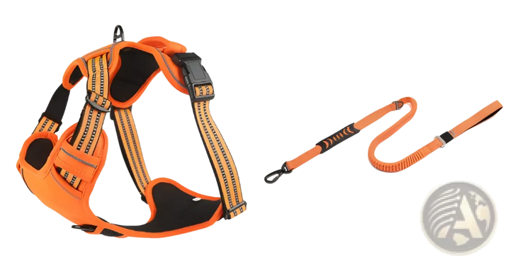 Orange no-pull reflective dog harness vest with matching leash and round reflective badge