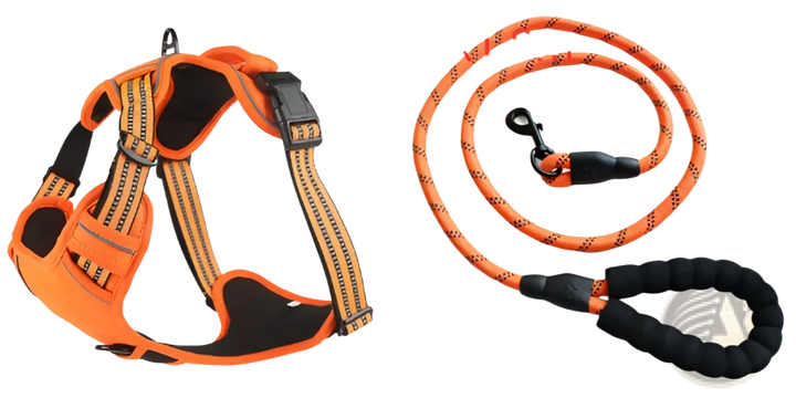 Orange reflective dog harness vest with coiled leash and round reflective emblem