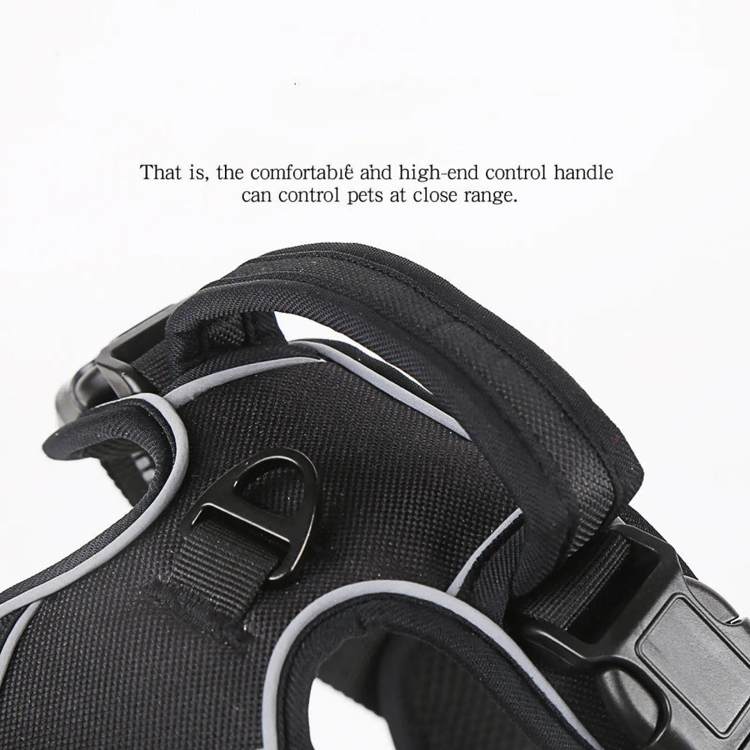 Close-up of black reflective dog harness vest handle and strap hardware