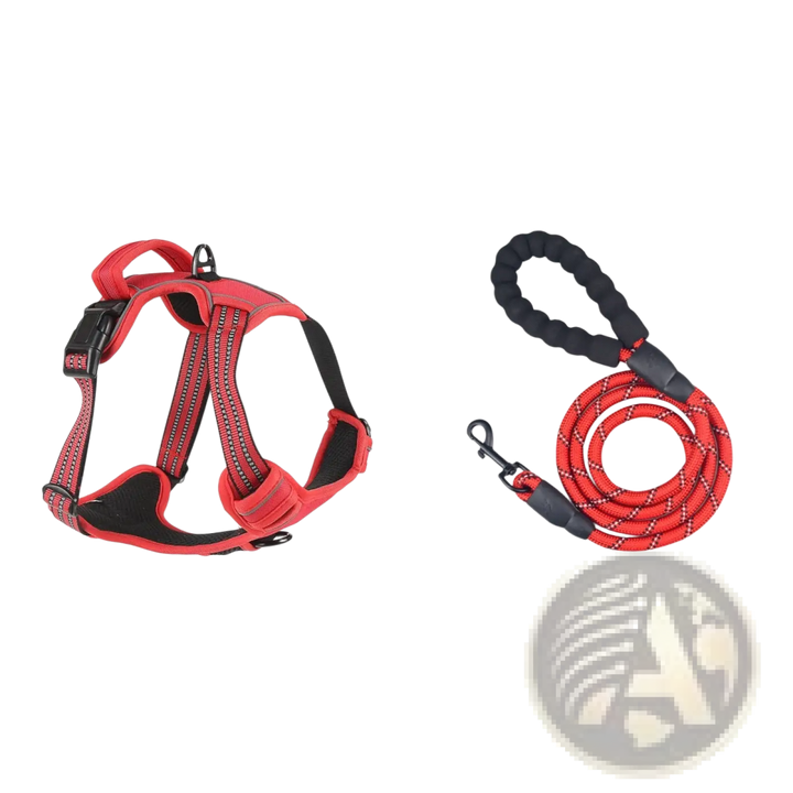 Red reflective dog harness vest set with coiled leash and metal leash connector