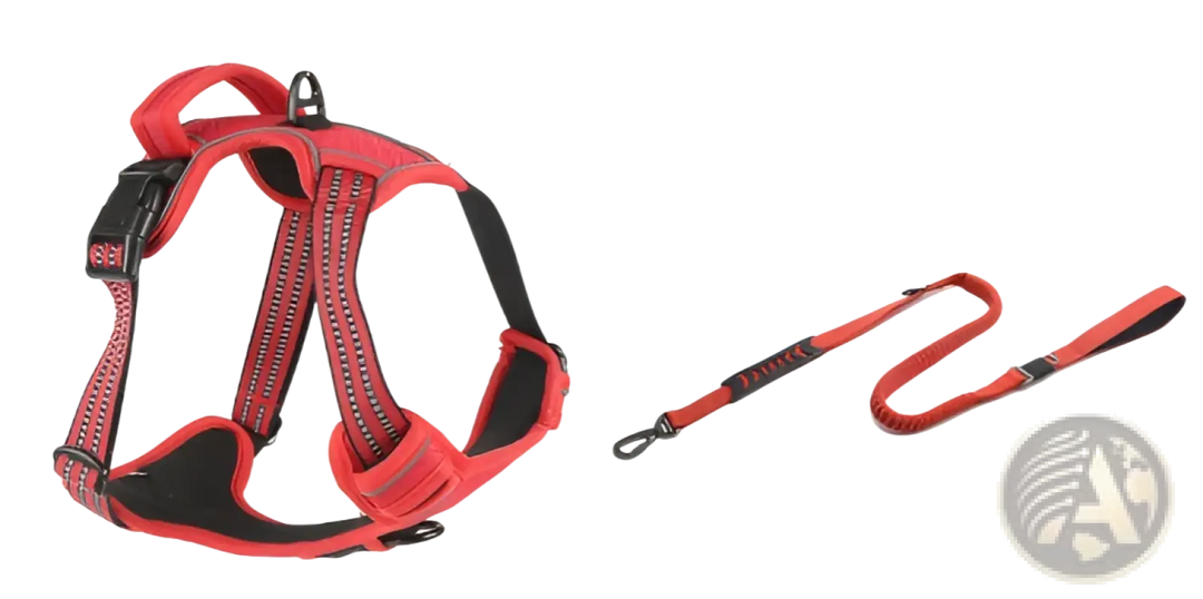 Red no-pull reflective dog harness vest with matching leash and round reflective emblem