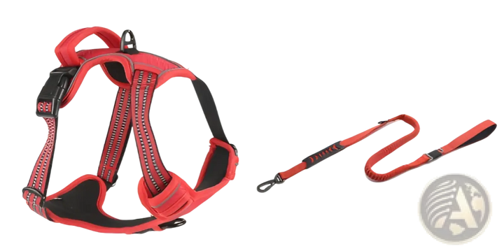 Red no-pull reflective dog harness vest with matching leash and round reflective emblem