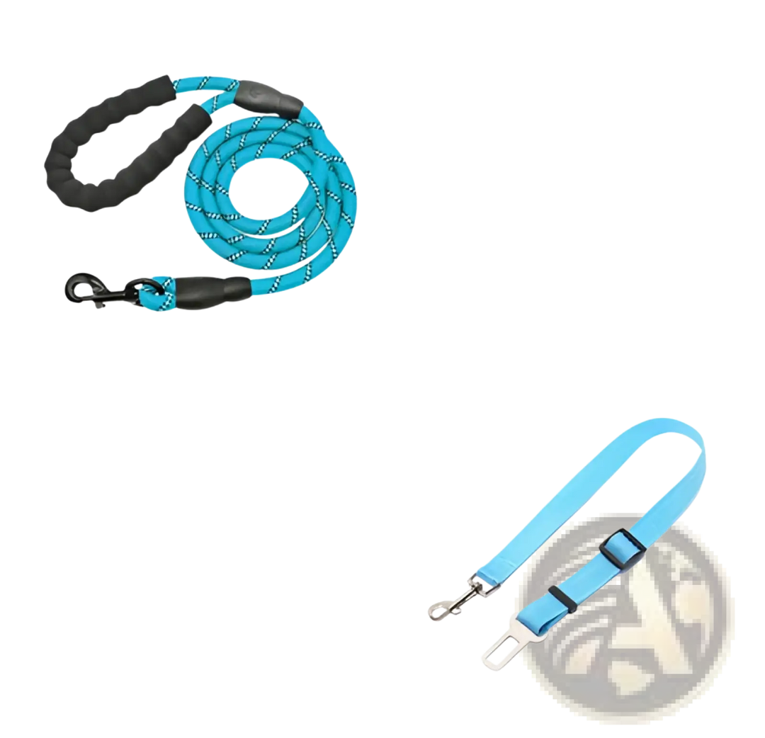 Reflective dog leash with padded foam comfort handle, bright blue webbing and metal clips