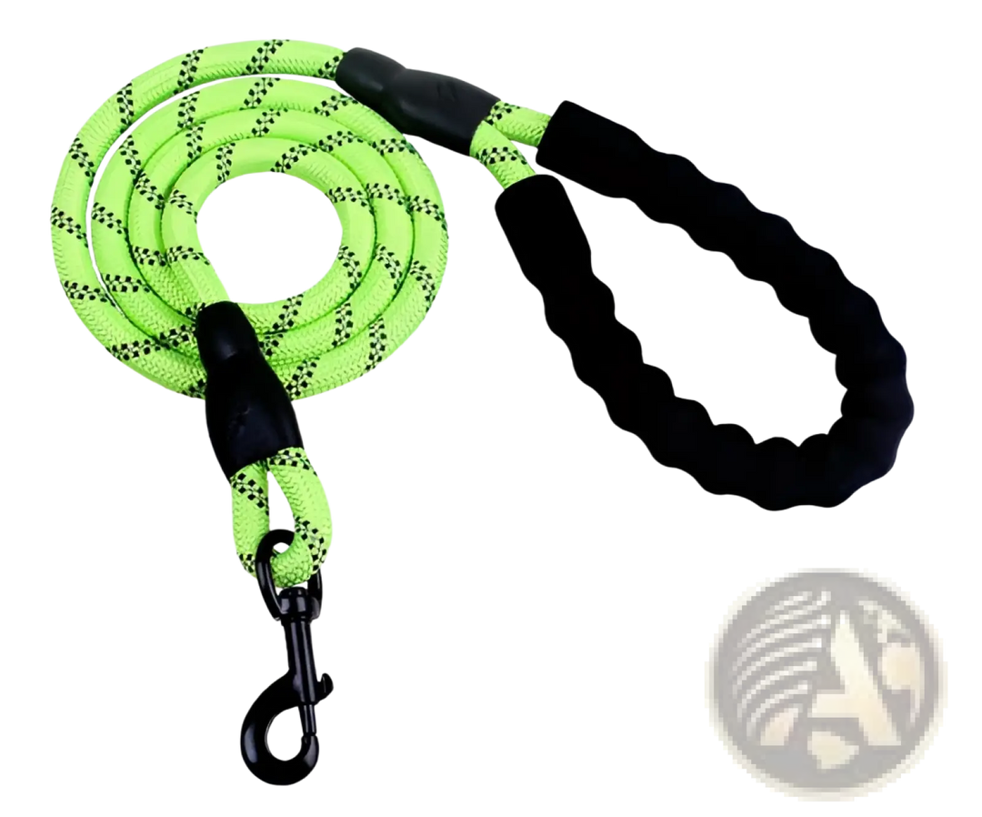 Reflective dog leash with padded foam comfort handle, neon green webbing and metal clips