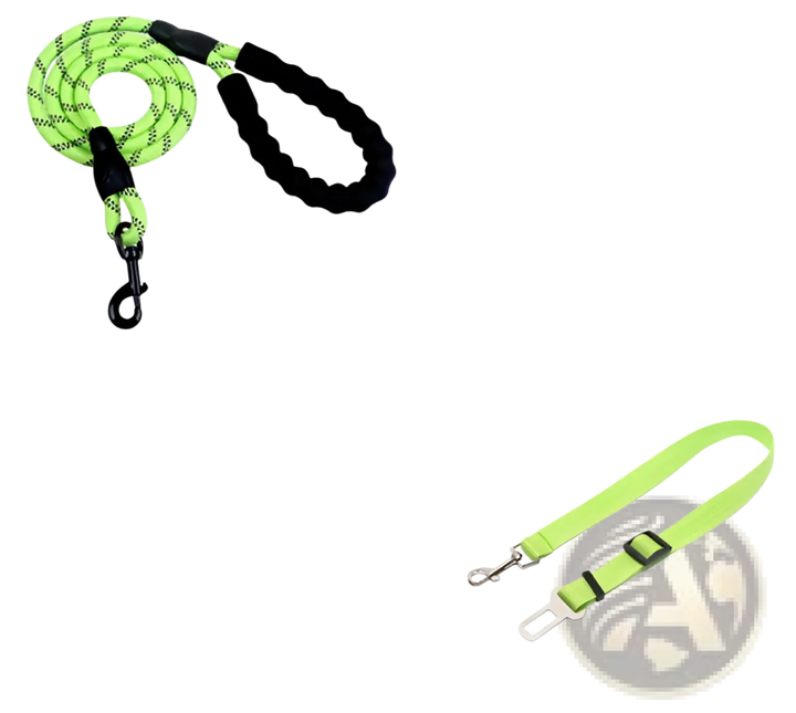 Reflective dog leash with padded foam comfort handle, light green webbing and metal clips
