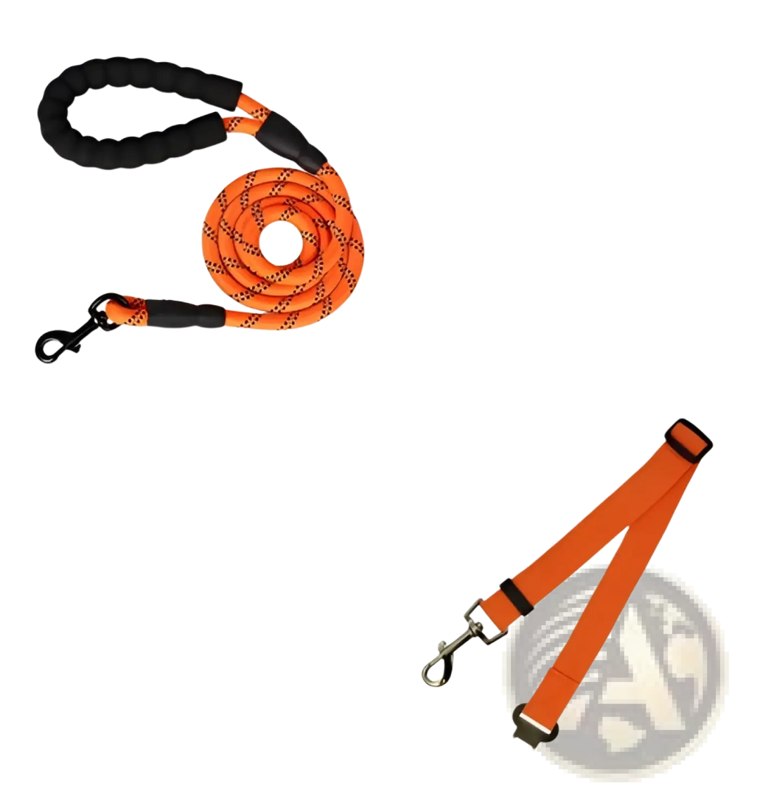 Reflective dog leash with padded foam comfort handle, orange webbing and metal clips
