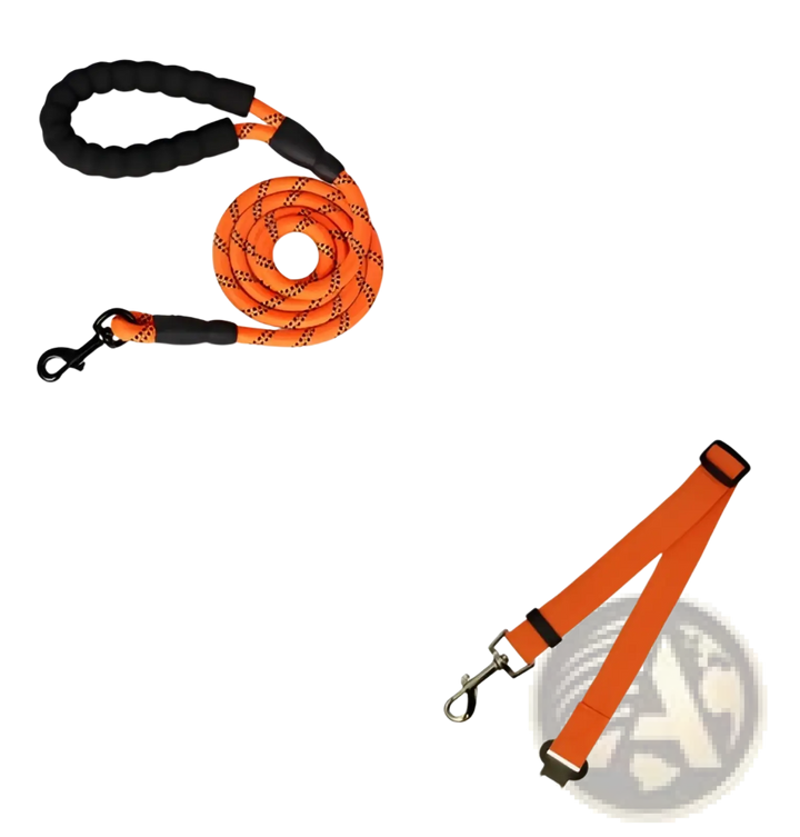 Reflective dog leash with padded foam comfort handle, orange webbing and metal clips