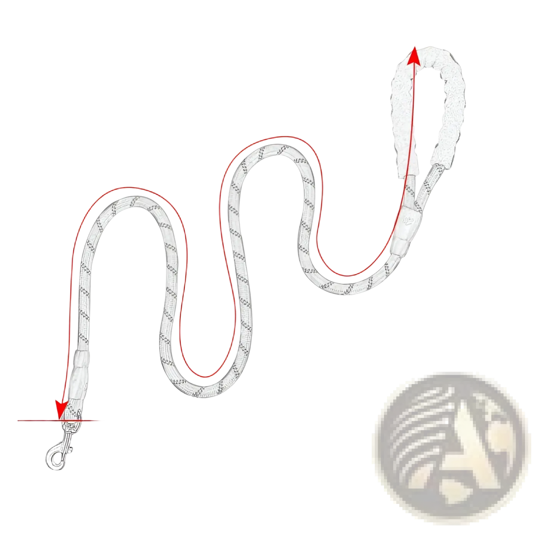 Reflective dog leash with padded foam handle, white rope with red trim and metal clasp