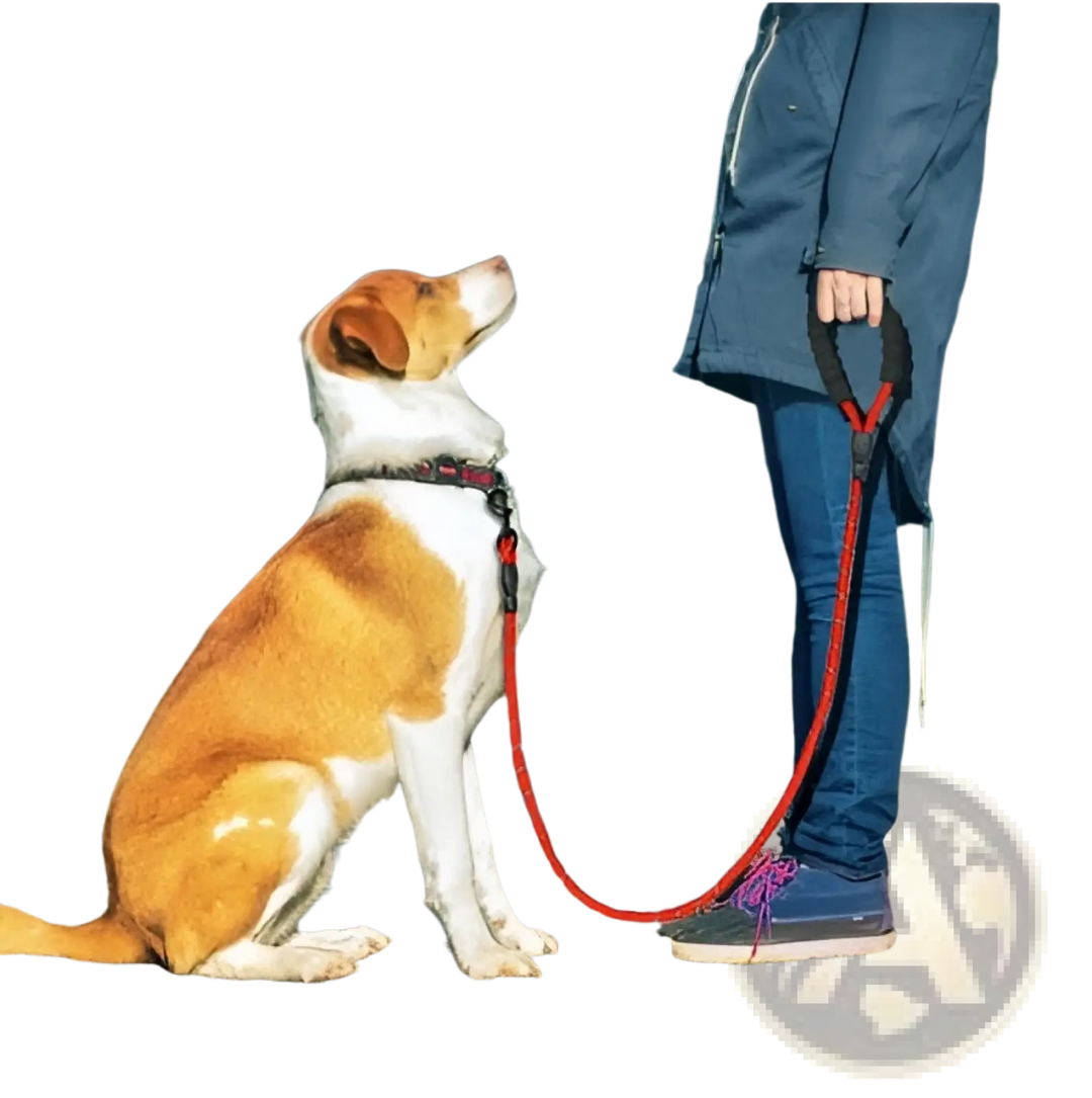 Reflective dog leash with padded foam handle, red braided rope and metal clasp