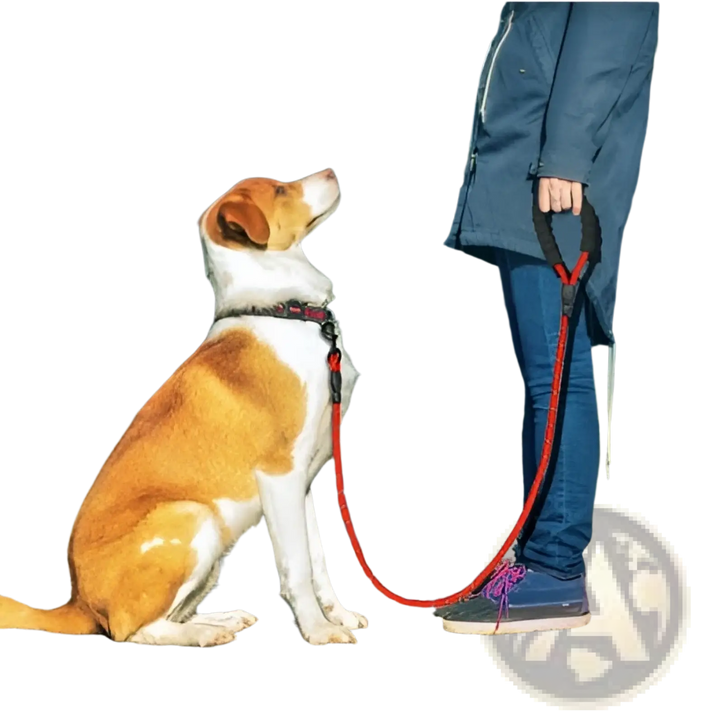 Reflective dog leash with padded foam handle, red braided rope and metal clasp