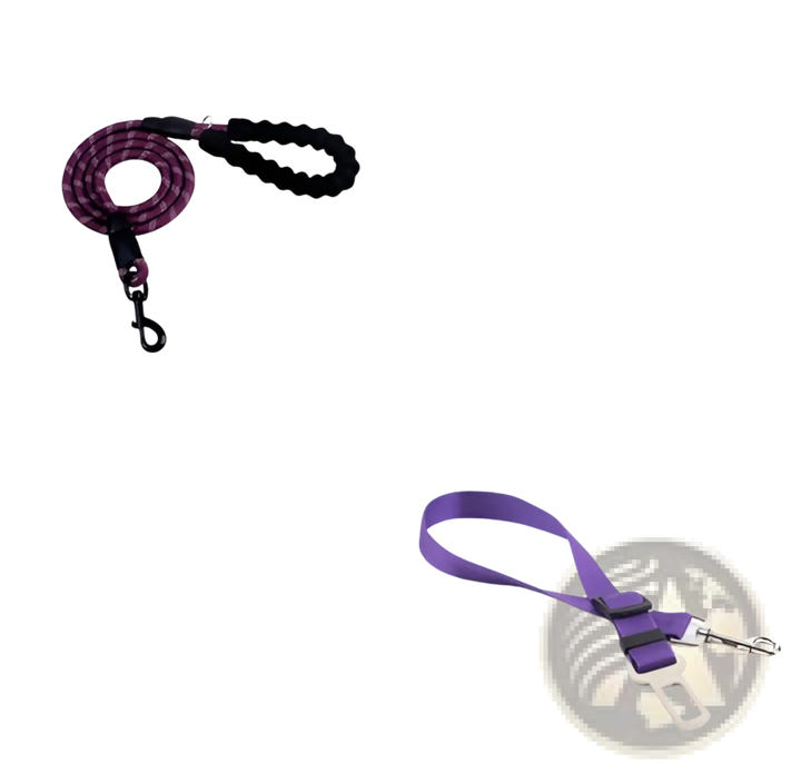 Reflective dog leash with padded foam comfort handle, purple webbing and metal clips