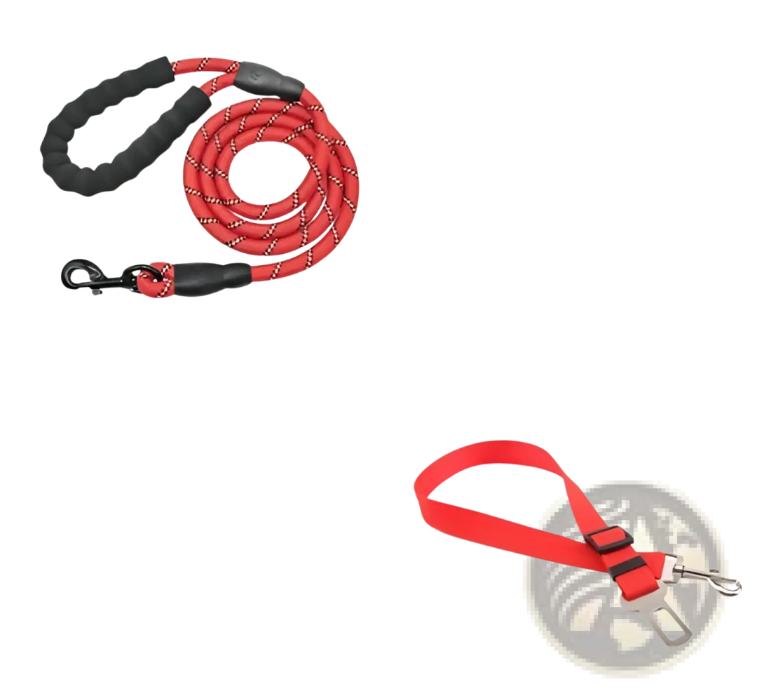 Reflective dog leash with padded foam comfort handle, red webbing and metal clips