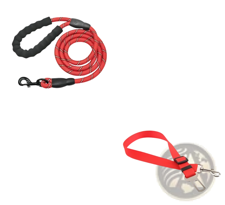 Reflective dog leash with padded foam comfort handle, red webbing and metal clips