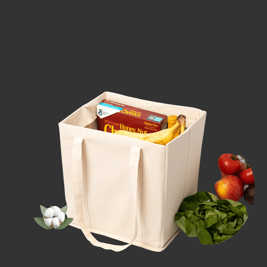 Reusable Organic Cotton Canvas Bins (Set of 2)